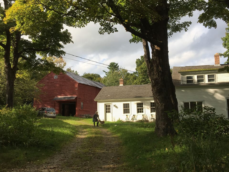 House front, with barn. Summer.