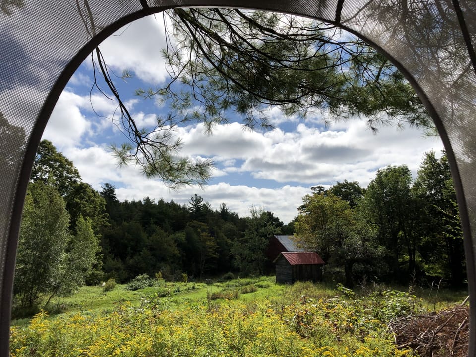 From the treepod.