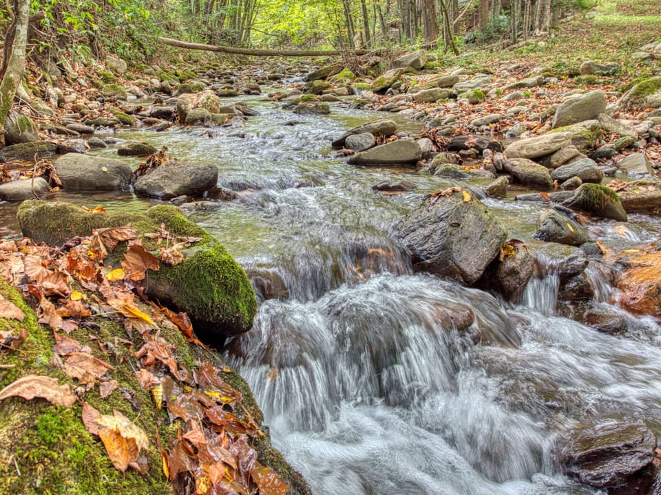 Campbell Creek