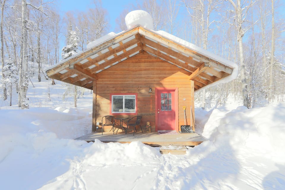 Birch Cabin Winter