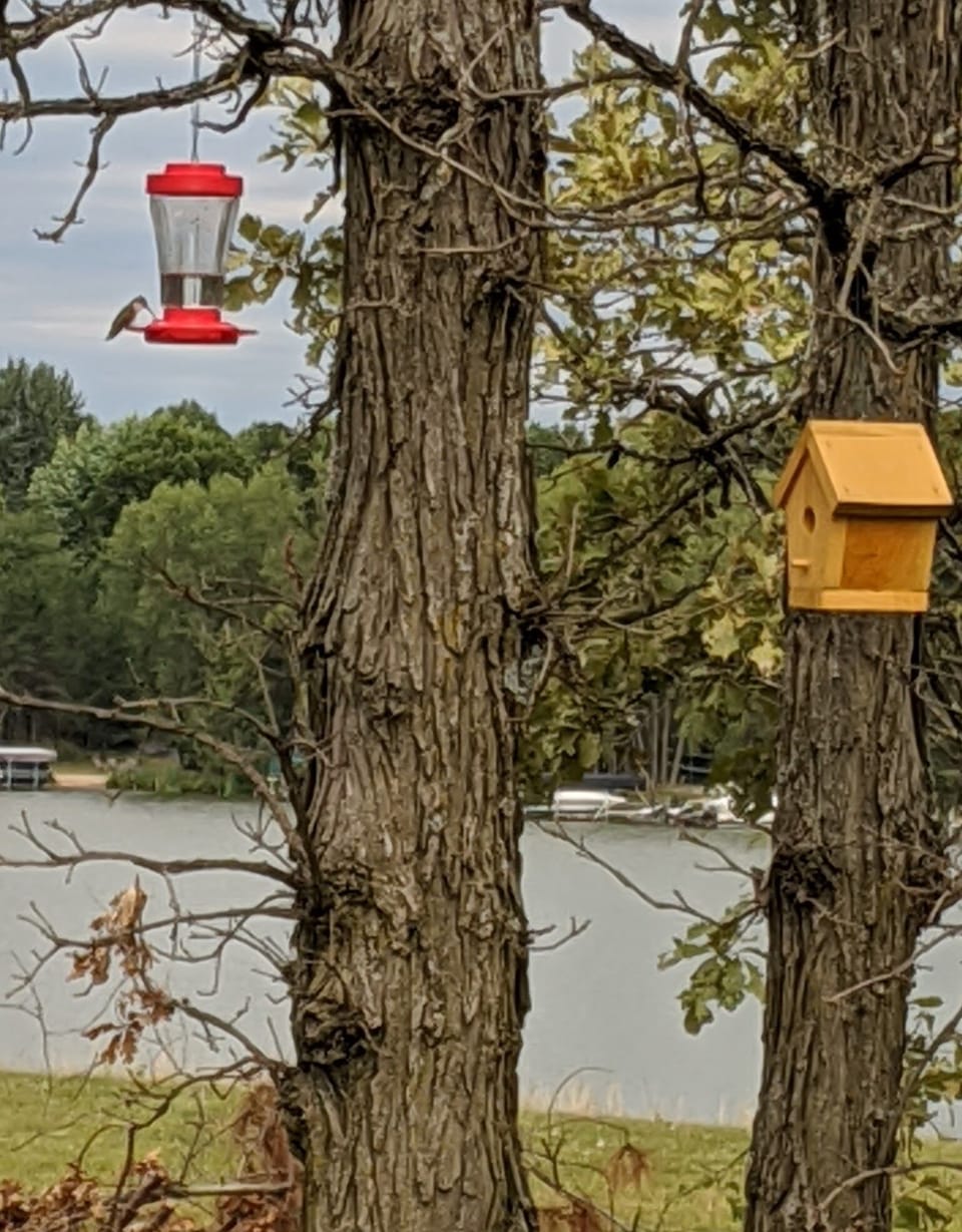 Bird-watchers will enjoy the view from the deck
