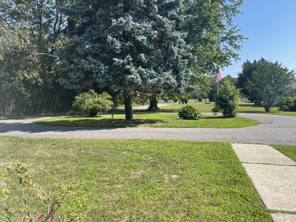 View from front steps - plenty of room for your vehicles!