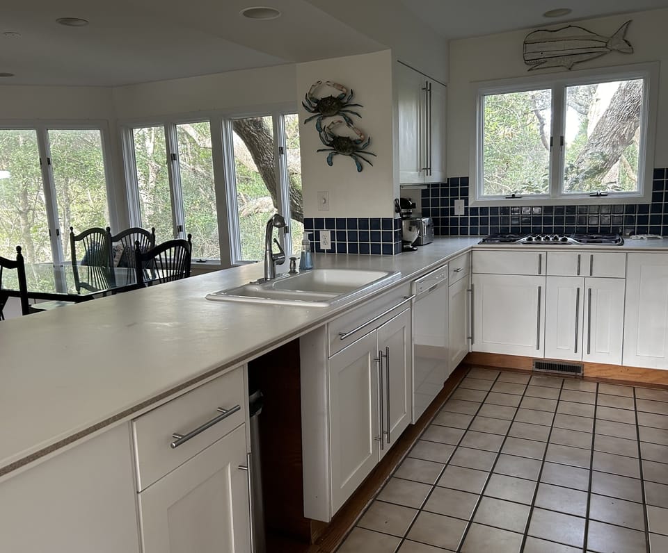 Open to living and dining spaces, large counter for buffet serving or eating.