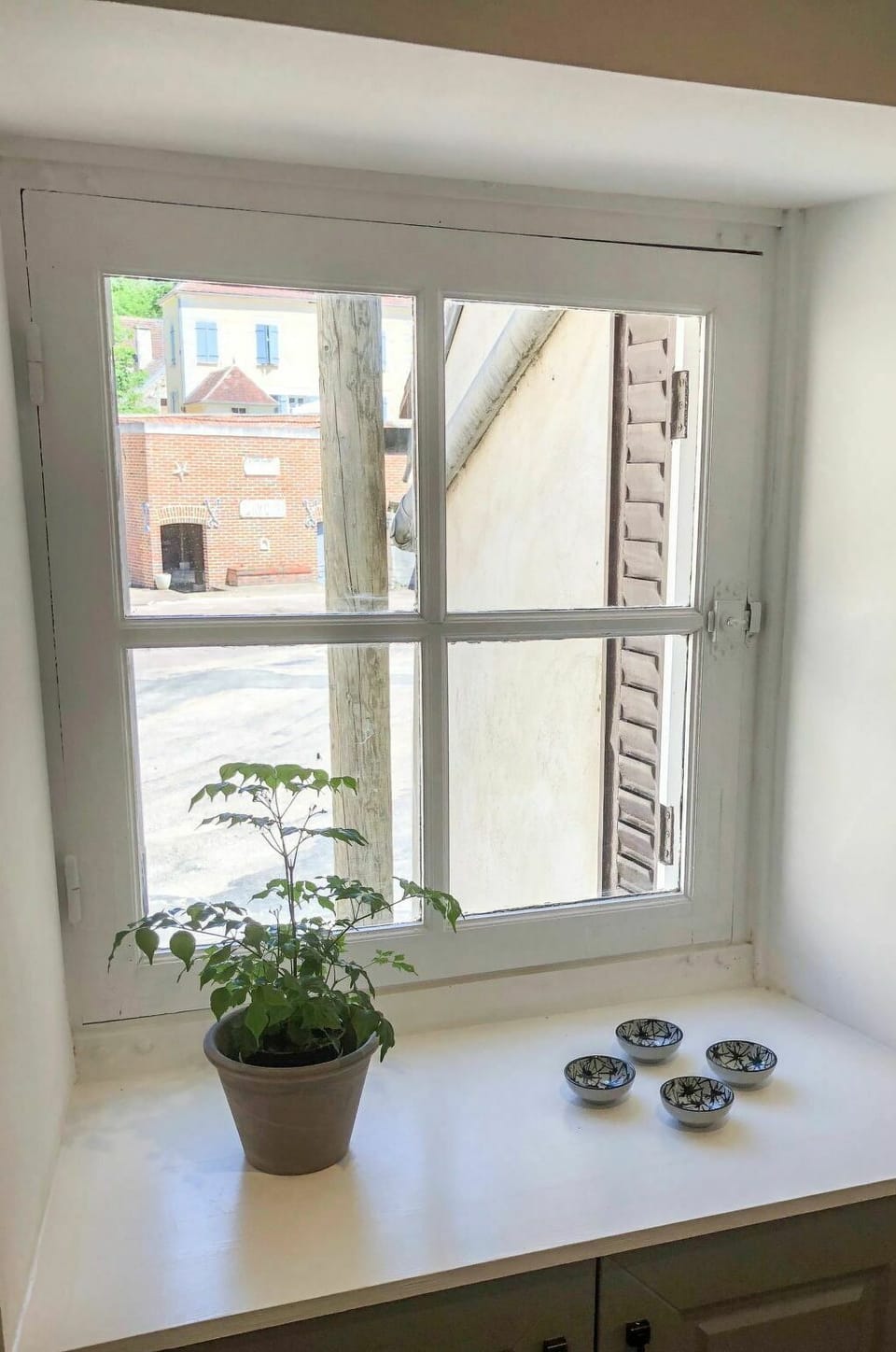 Plant, Window, Property, Flowerpot, Houseplant, Building, Wood, Interior Design, House