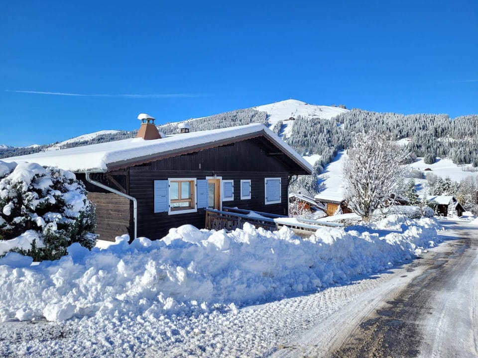 Cozy chalet with fireplace and parking, for 8 people Chalet in Les Gets