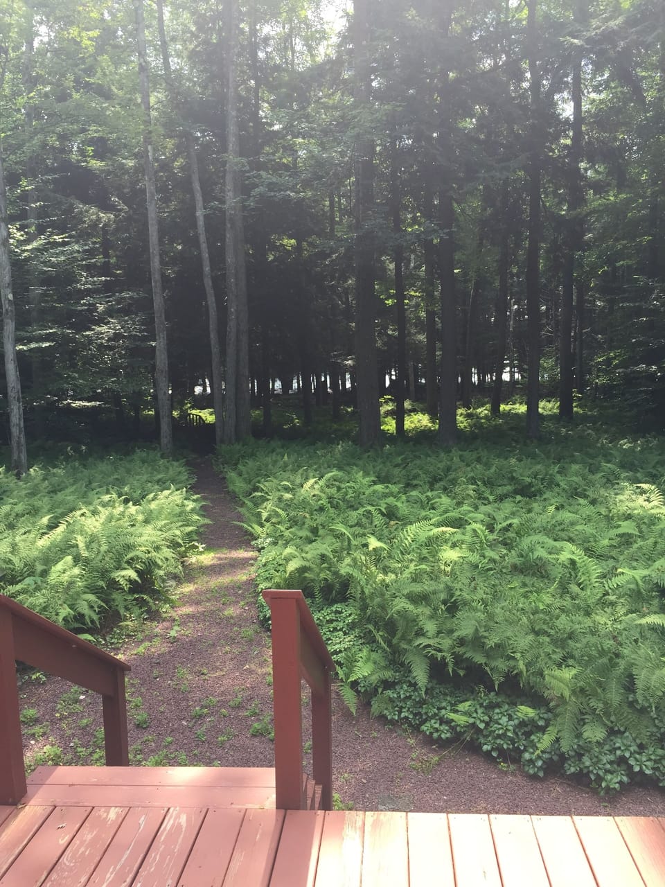 100 foot path to the beach and lake!