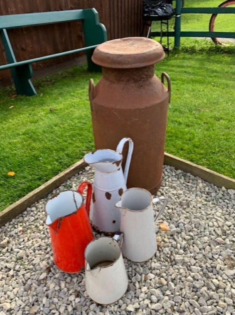 Back Garden