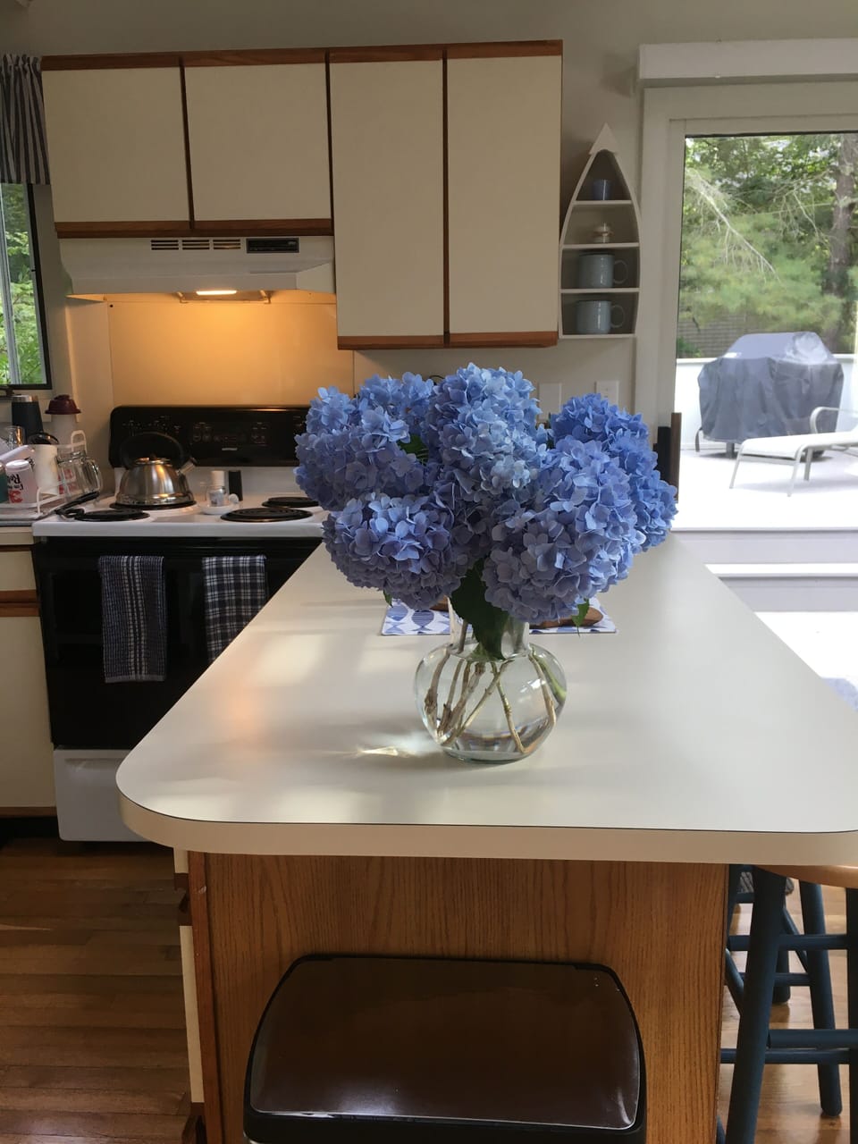 Stunning Hydrangeas of the Island! Yes our Favorite!