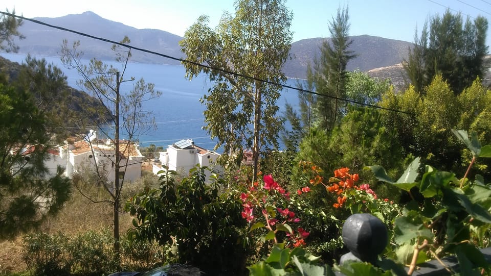 Villa Amare from the back