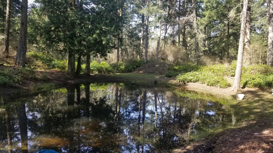 Short walk to the Frog Pond.