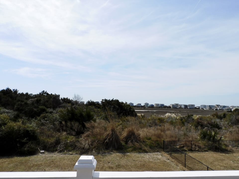 Marsh view from back deck