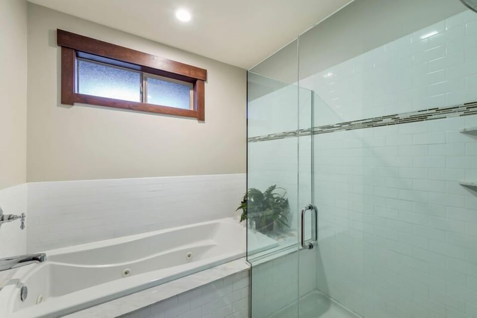 Master shower and jetted tub