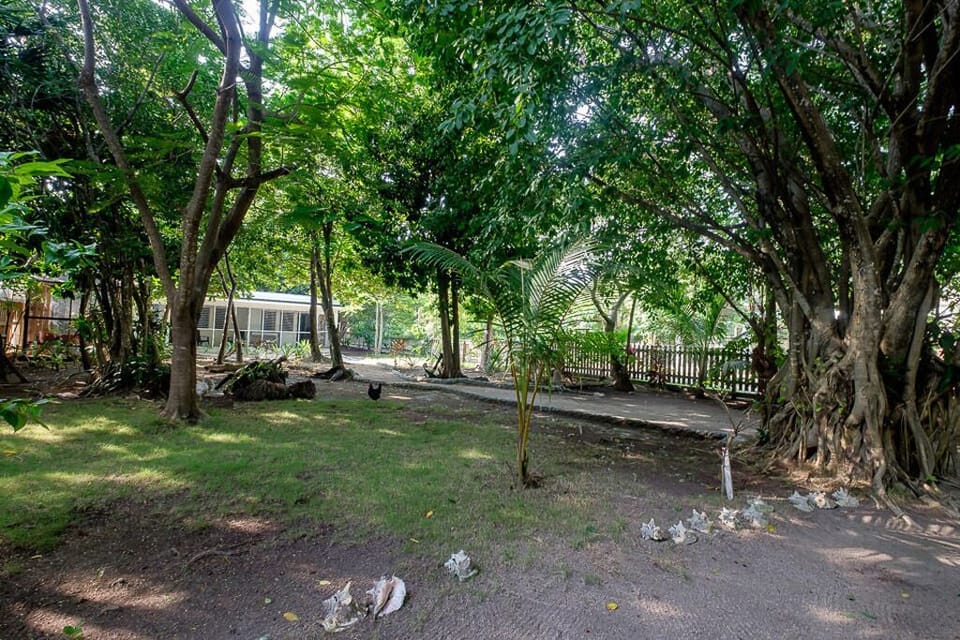 Property grounds