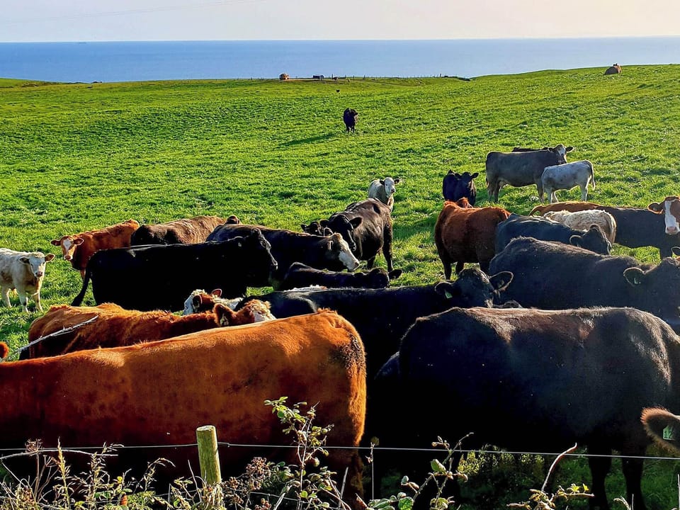 Surrounding area | Kirklauchline Cottage, Stoneykirk, near Portpatrick