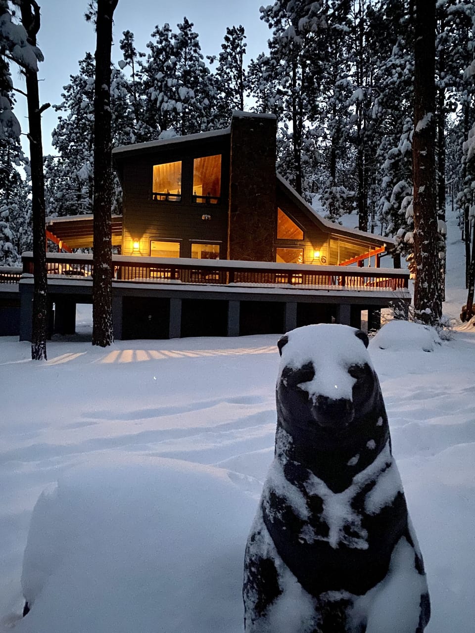 Peaceful winter wonderland.
