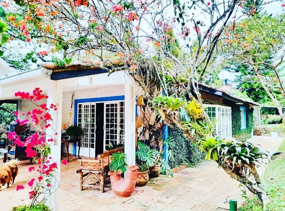 O colorido das primaveras. 