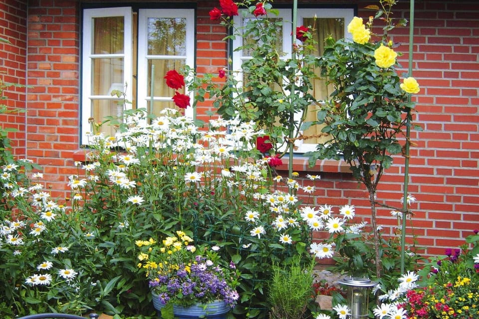 Garden [summer]