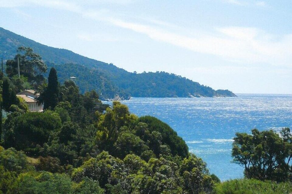 Immediate Surroundings [summer] (<1 km)