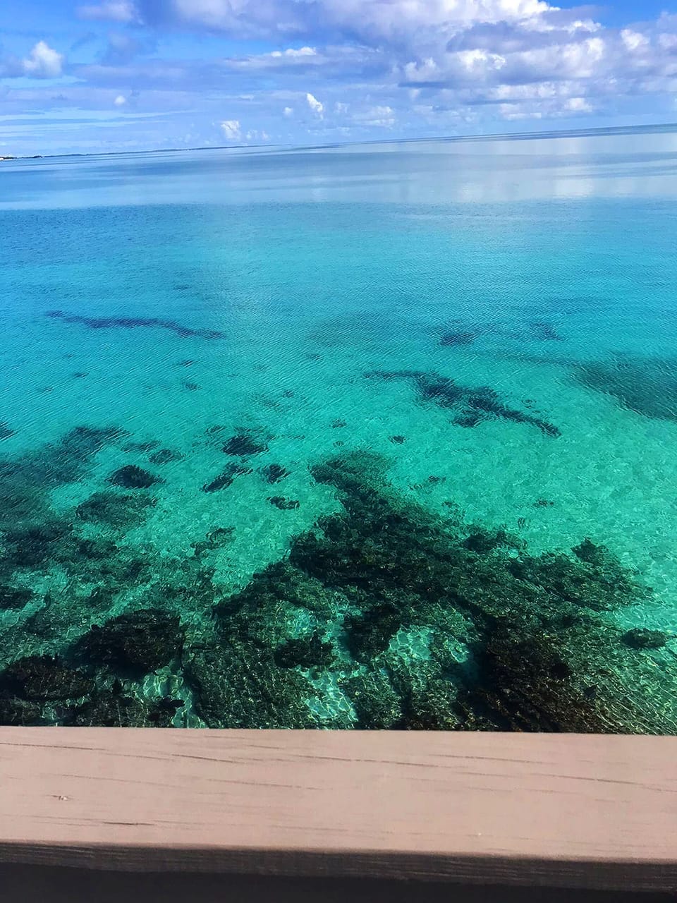 Have you ever seen water that clear? It looks like air when there is no wind.
