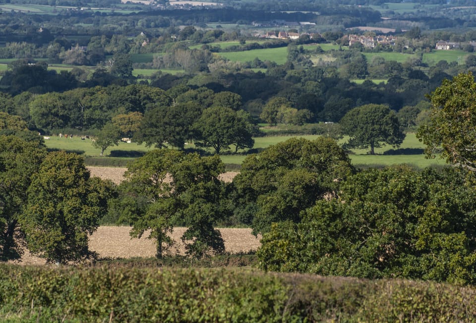 The Dorset countryside surrounding Bramble