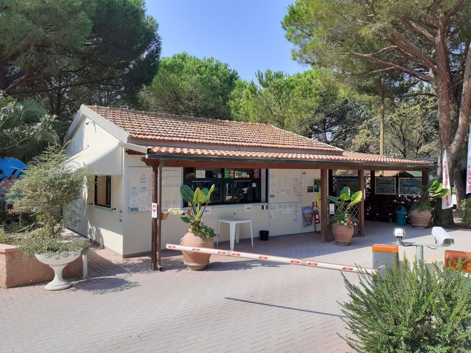 Plant, Window, Property, Building, Sky, Flowerpot, Tree, Shade, Door, House