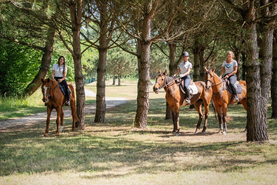 Horseback riding