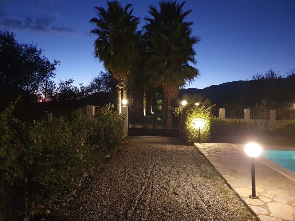 View Down driveway in twilight