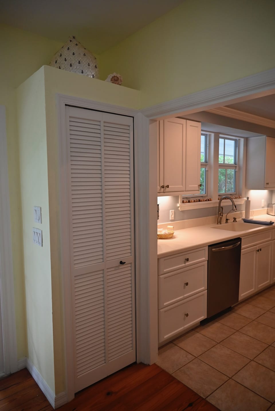 Kitchen and pantry