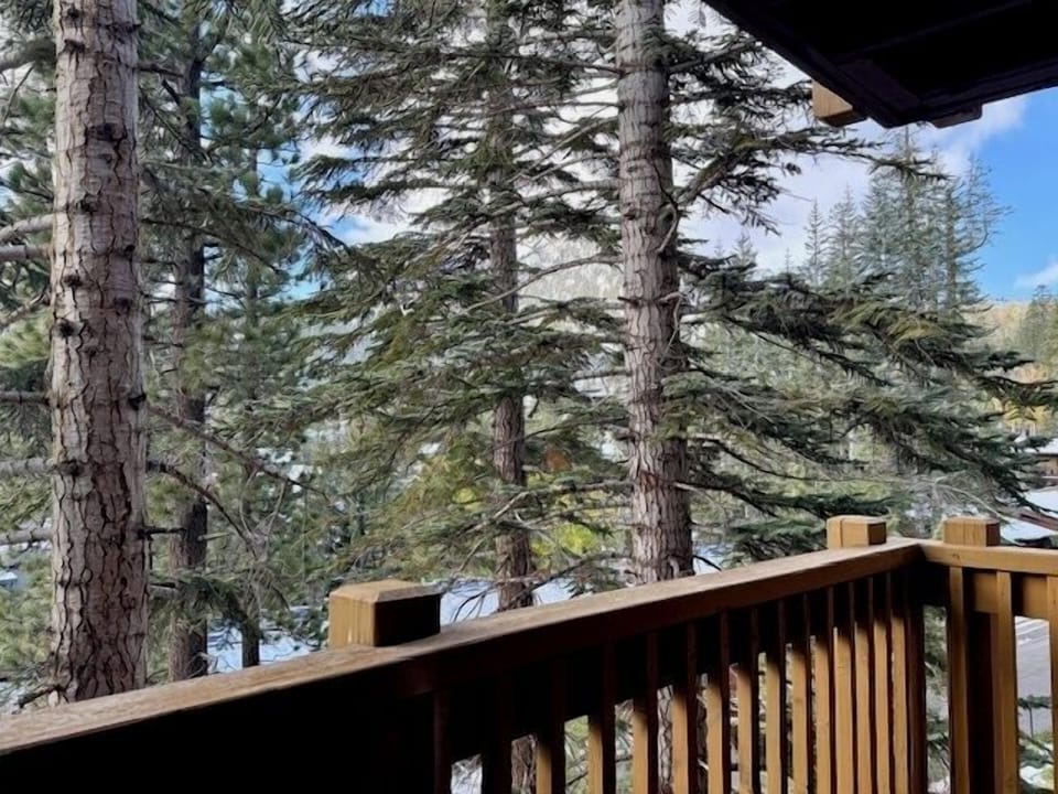 Balcony View - View from balcony towards the right with Mammoth Mt behind trees.