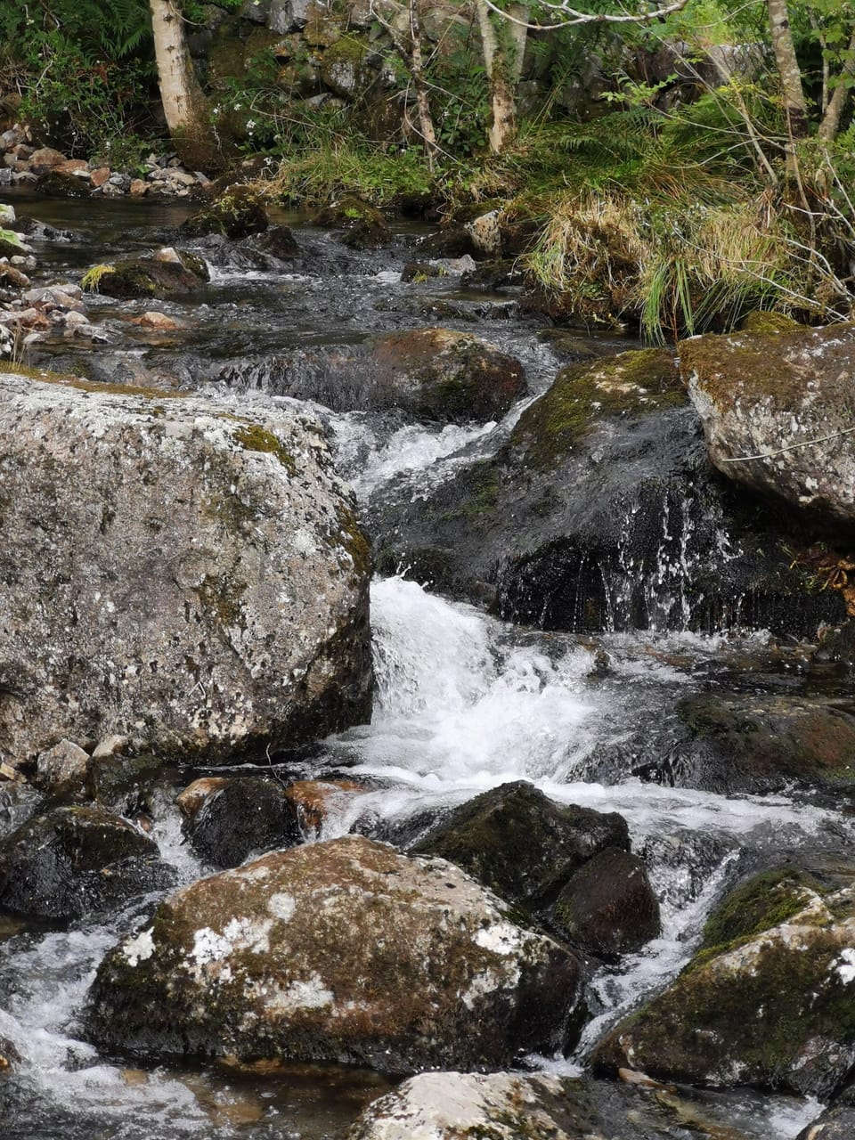 Stream in summer🌞 you can hear from the cottage