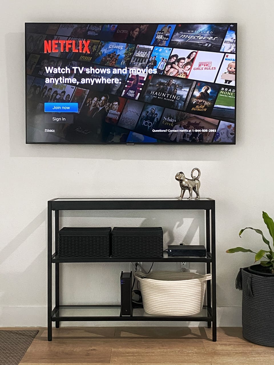 Living Area 55 Inch TV
