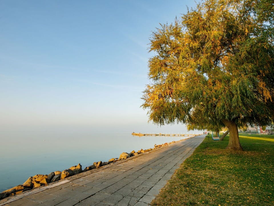 Sky, Natural Landscape, Tree, Nature, Yellow, Shore, Leaf, Morning, Horizon, Autumn