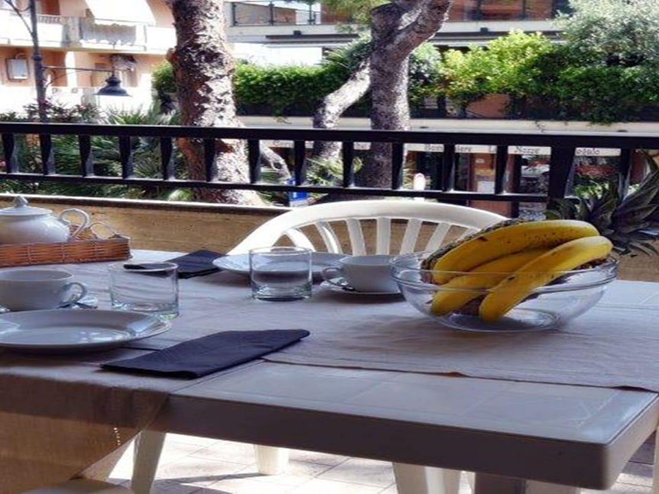 Table, Furniture, Tableware, Plant, Wood, Outdoor Table, Outdoor Furniture, Window, Chair, Tree
