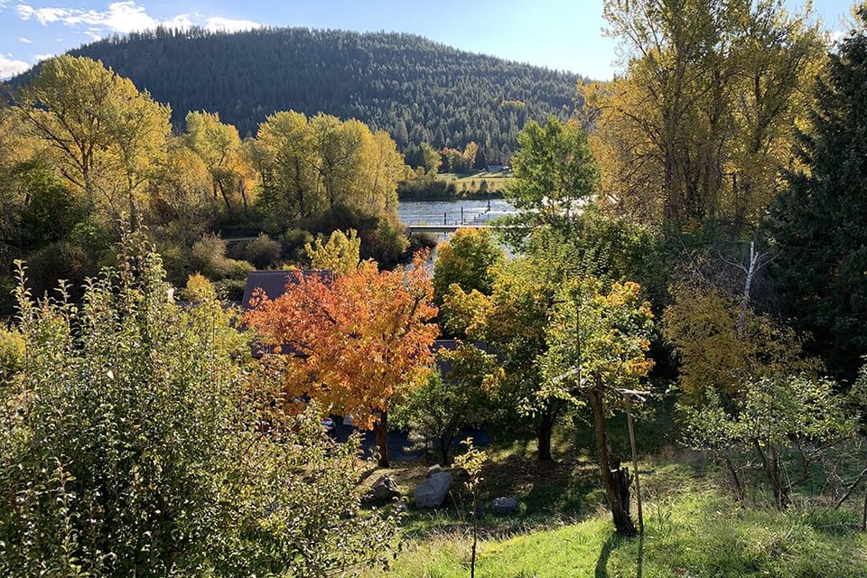 The beginning of Fall heralds the start of color changes to come!