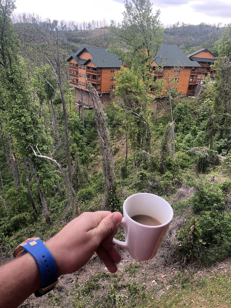 View from property
