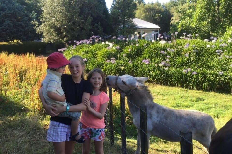 Humphrey getting carrot from obscured child