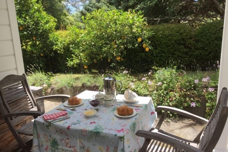 Breakfast in the sun. Citrus to use!