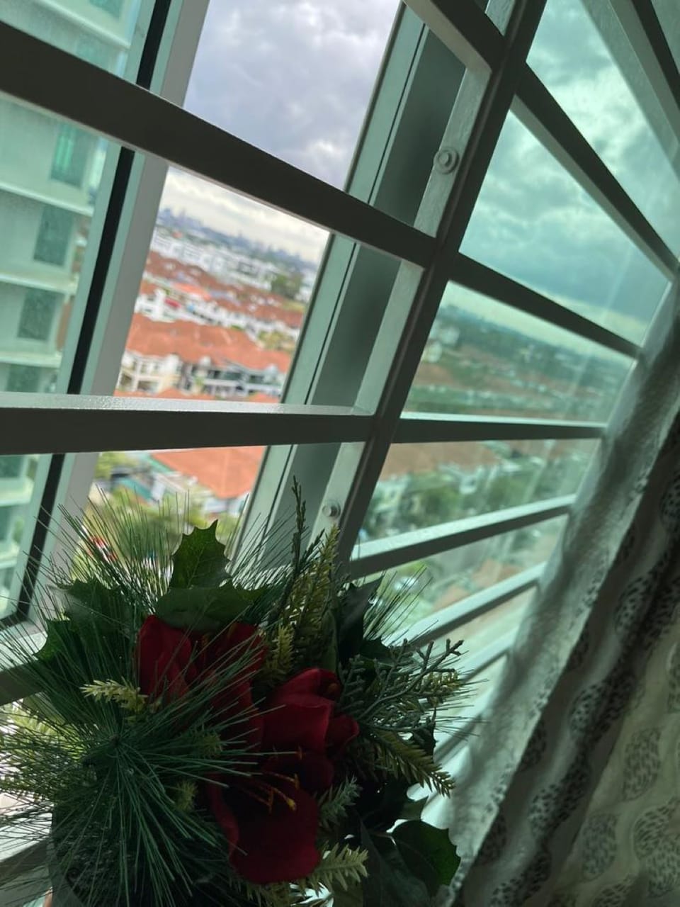 Window View