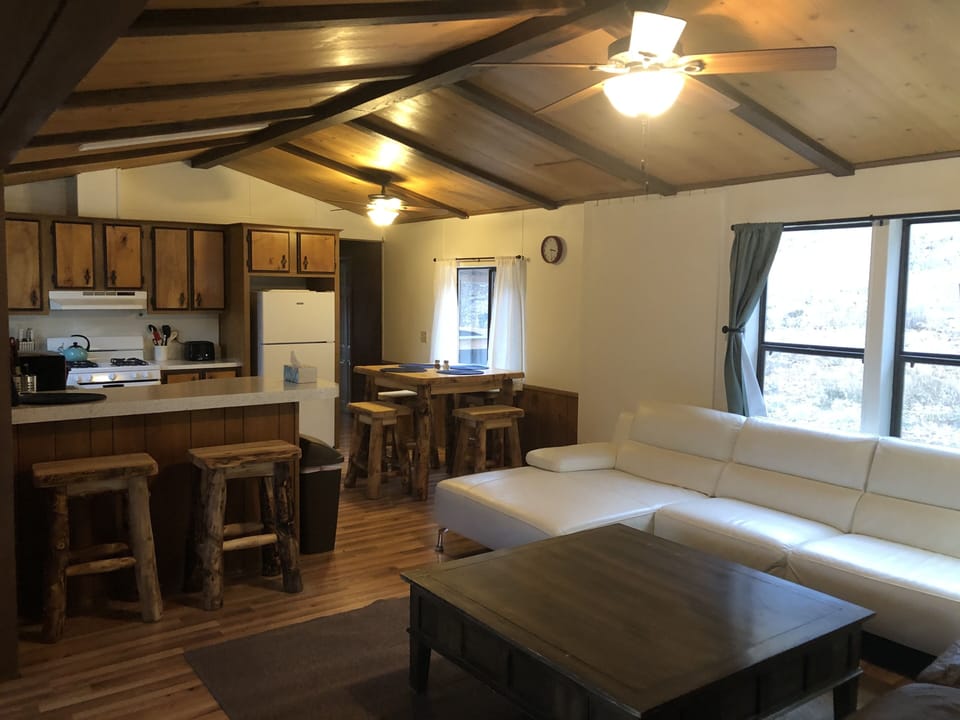 Living room/kitchen