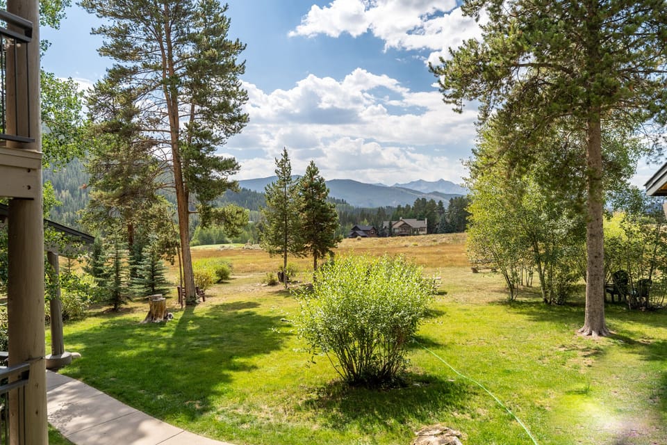 View from the balcony during Summer.