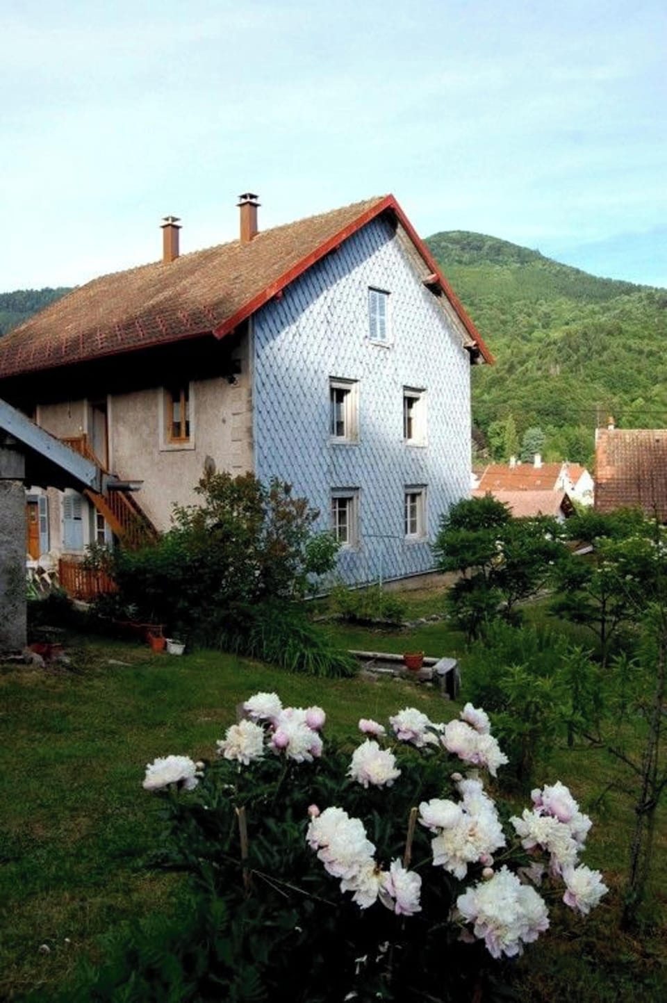 Front view