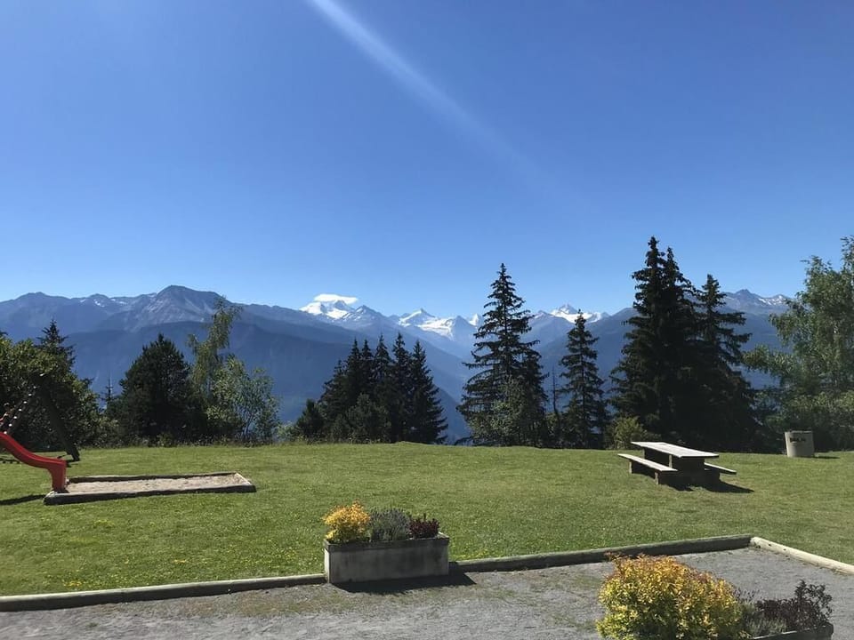 playground and bbq spot in front house