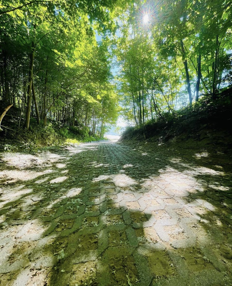 Private path down to the beach