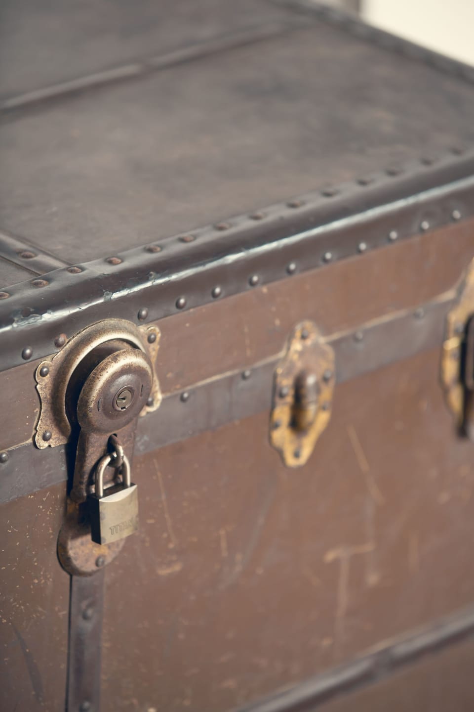 Villa Bona Dubrovnik; app. #5 - old trunk