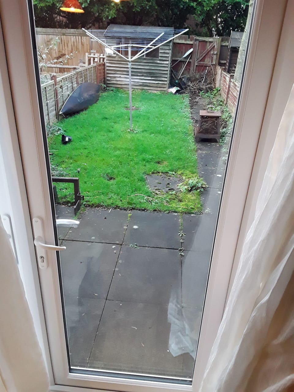 Back garden