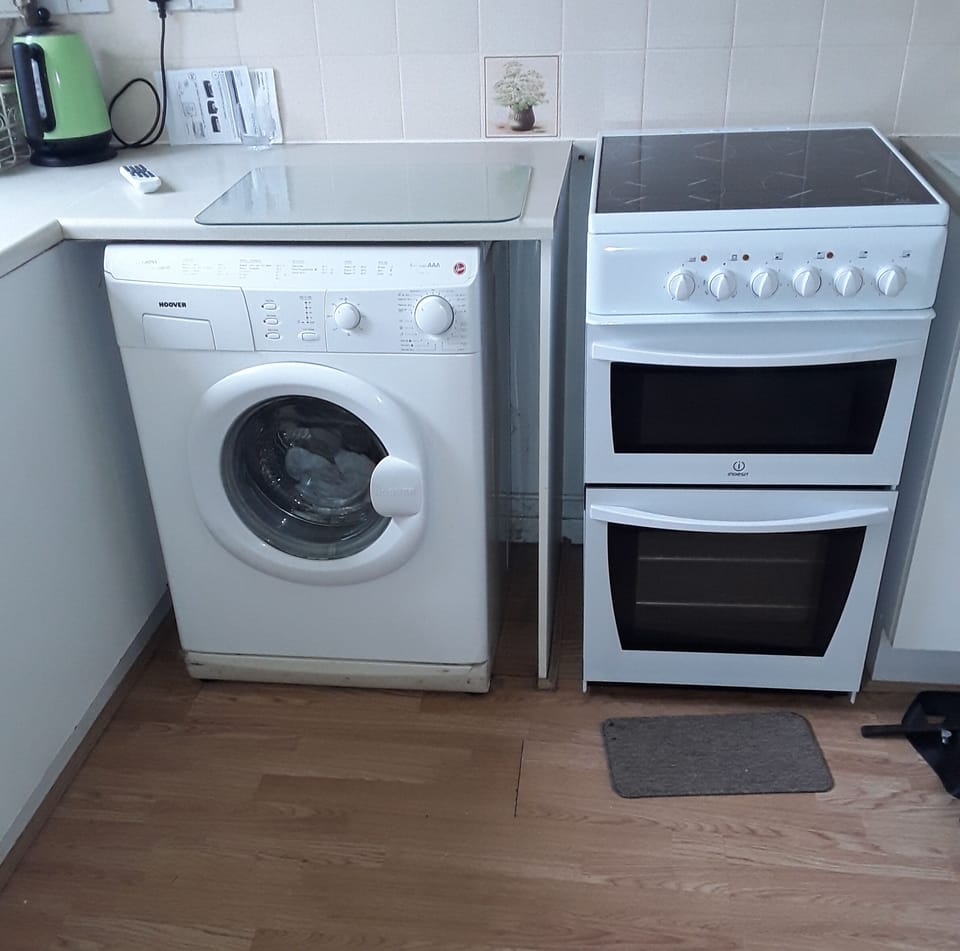 Washing machine cooker 