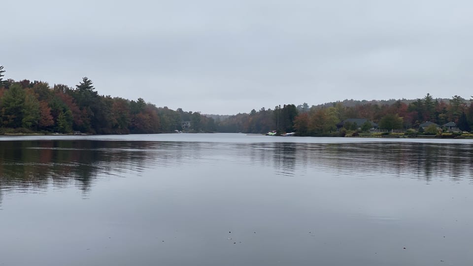 View from lake frontage