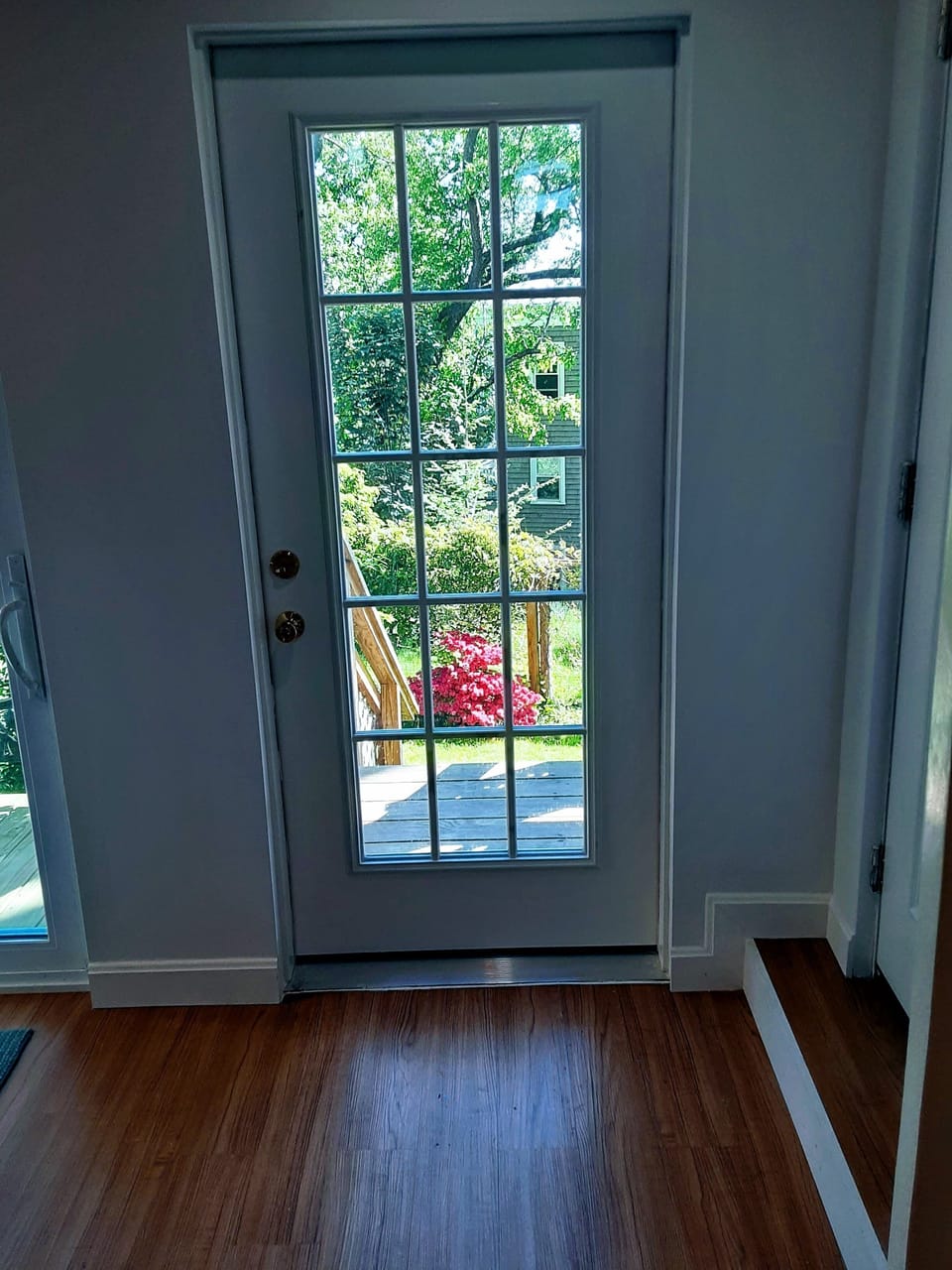 View from conservatory into  garden.
