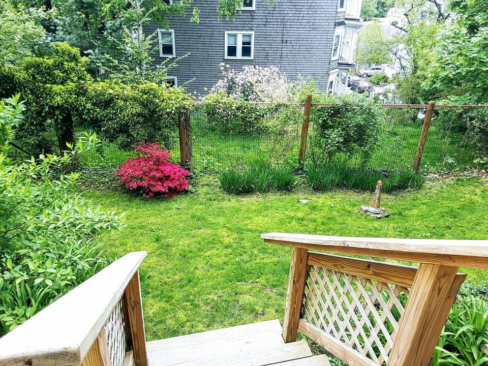 Steps into back garden