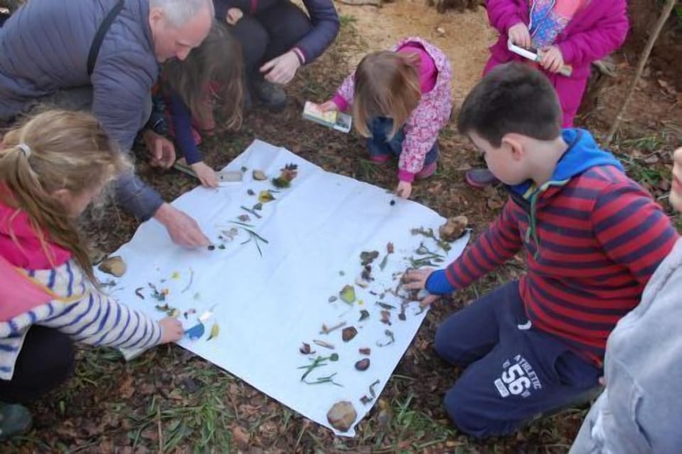 Woodland Adventures finding out